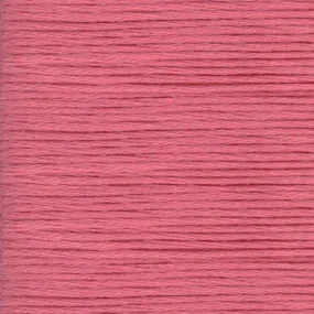 Cosmo Cotton 8m Lantana