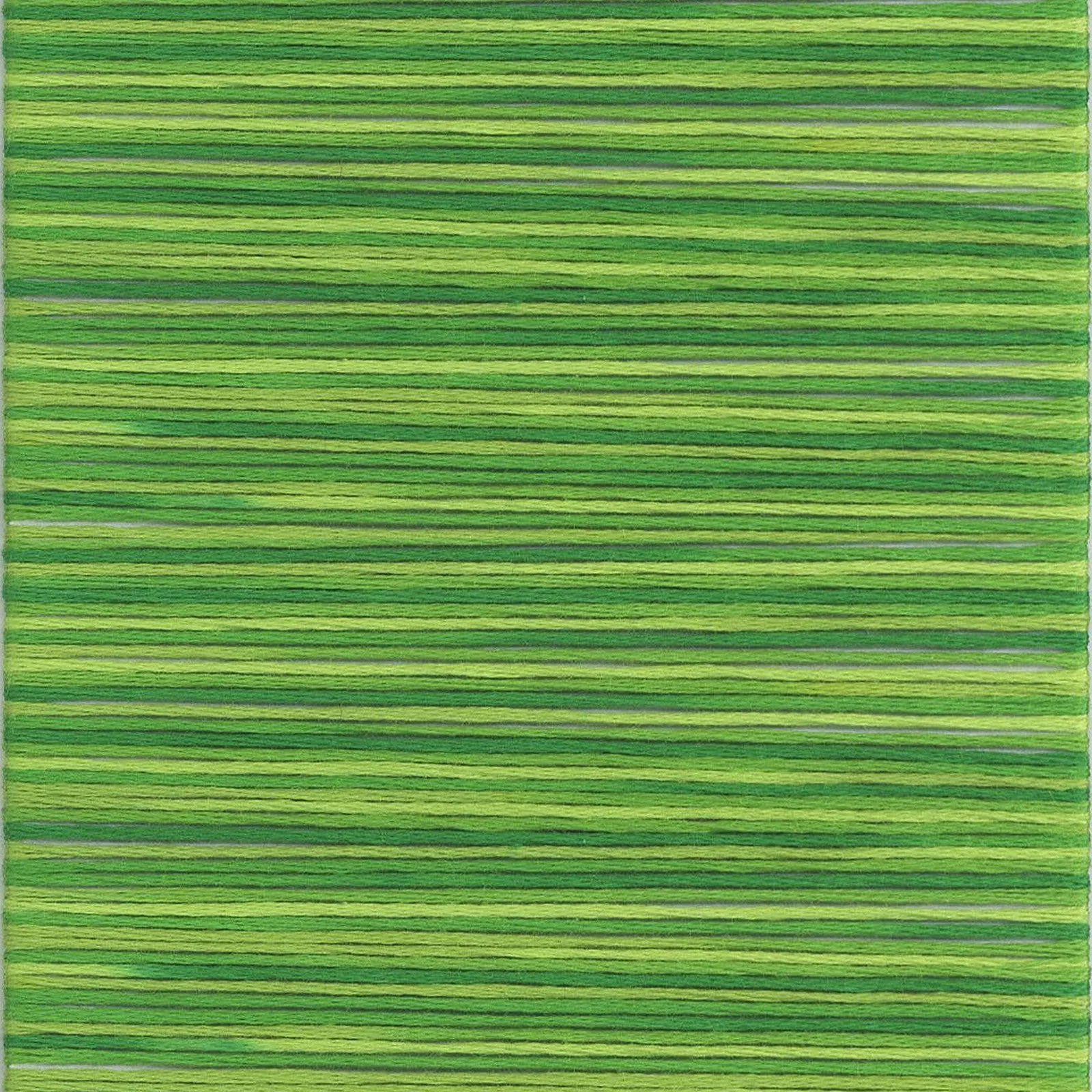 Embroidery Floss Cosmo Seasons 8.75Y Variegated